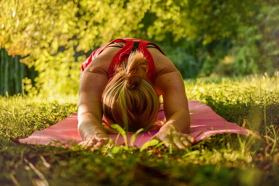 A quiet yoga mat set out among the olive trees at sunrise.