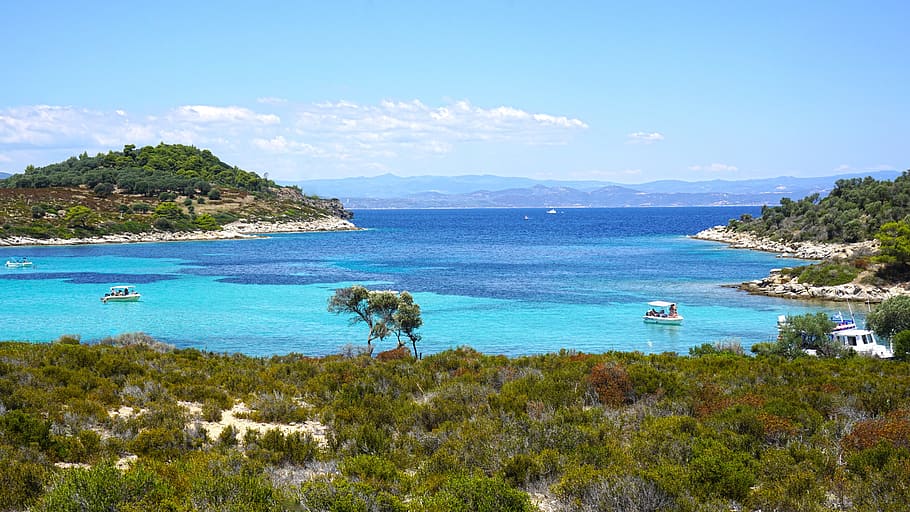 The coastline of Kassandra beyond the estate.