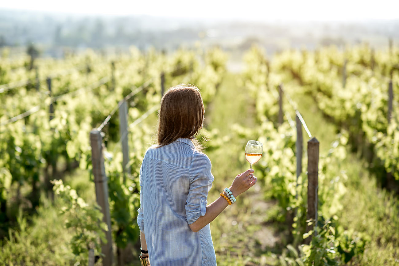 Vineyard in Halkidiki