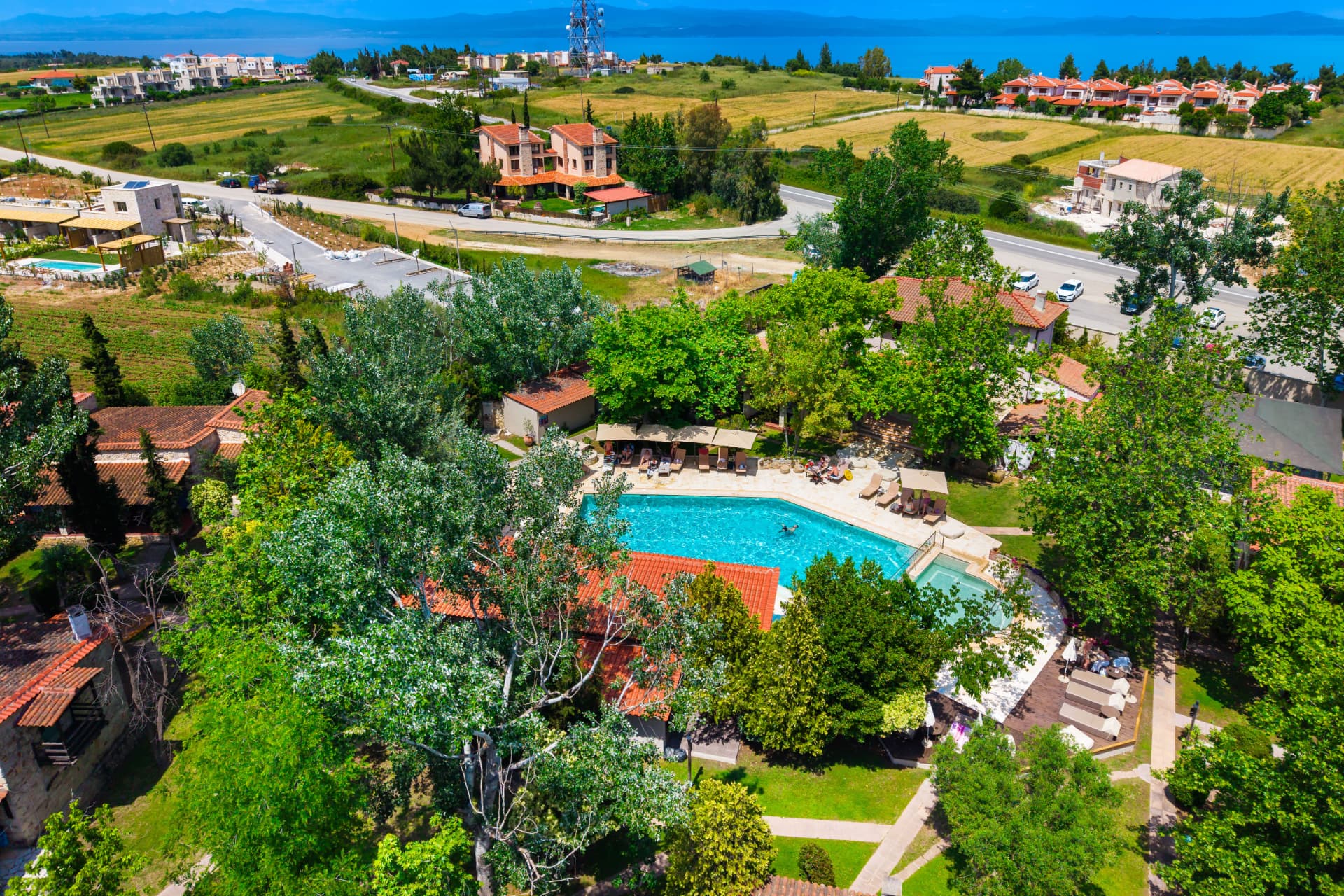 Aerial view of the Petrino estate and pool
